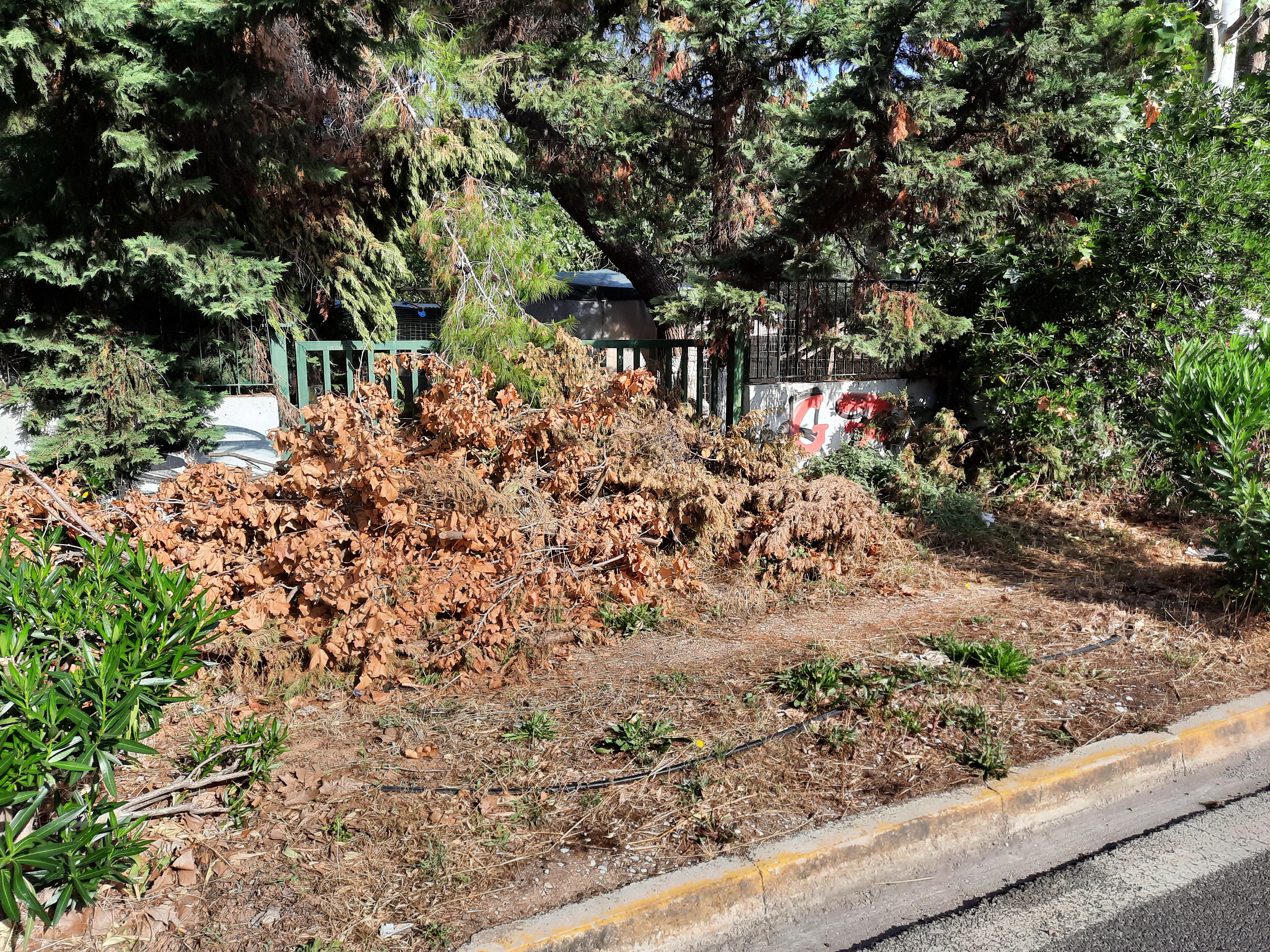 555555.jpg 555555.jpg