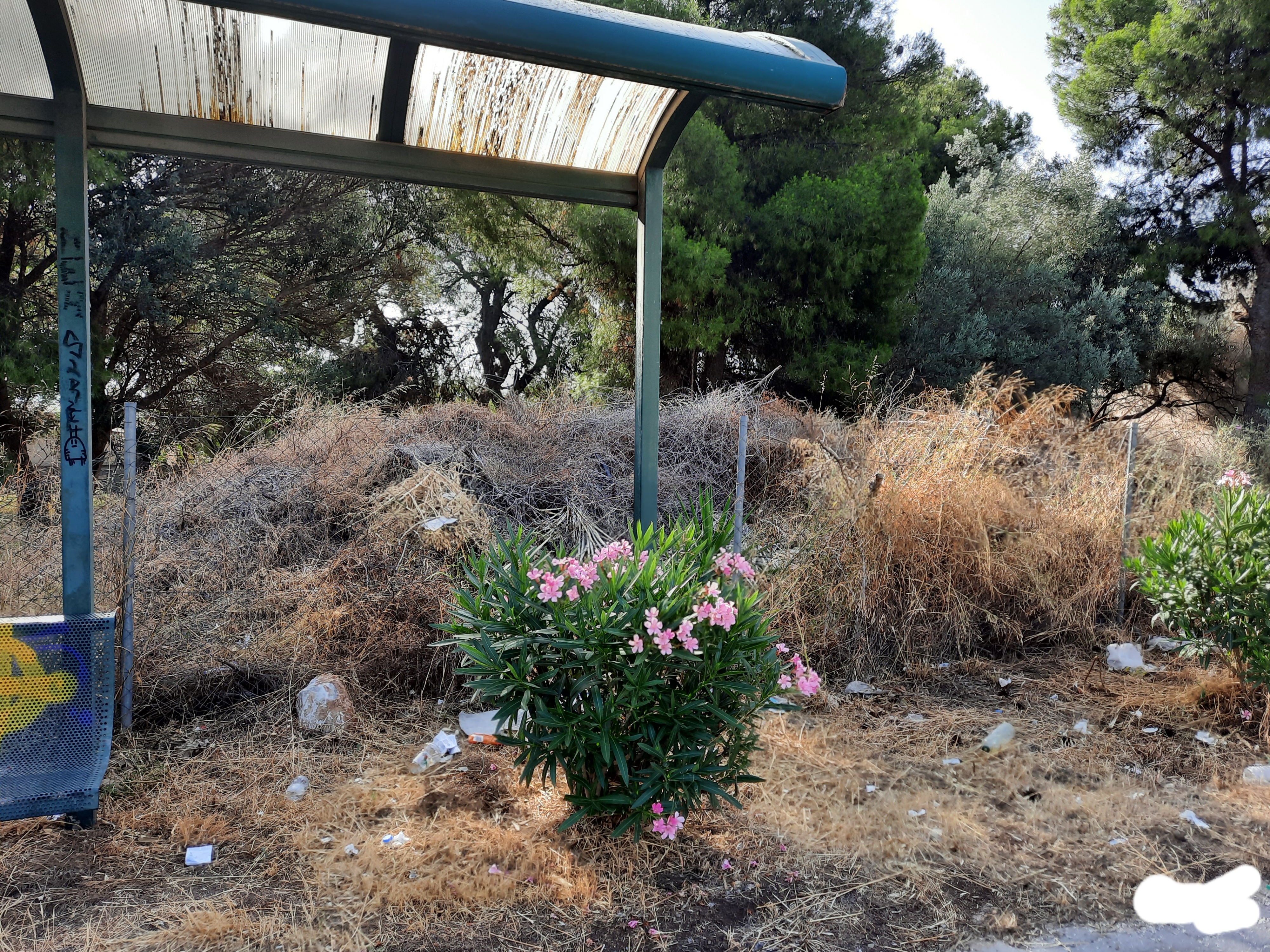 8888888.jpg 8888888.jpg