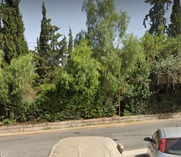 anekrotaferioprin.jpg anekrotaferioprin.jpg