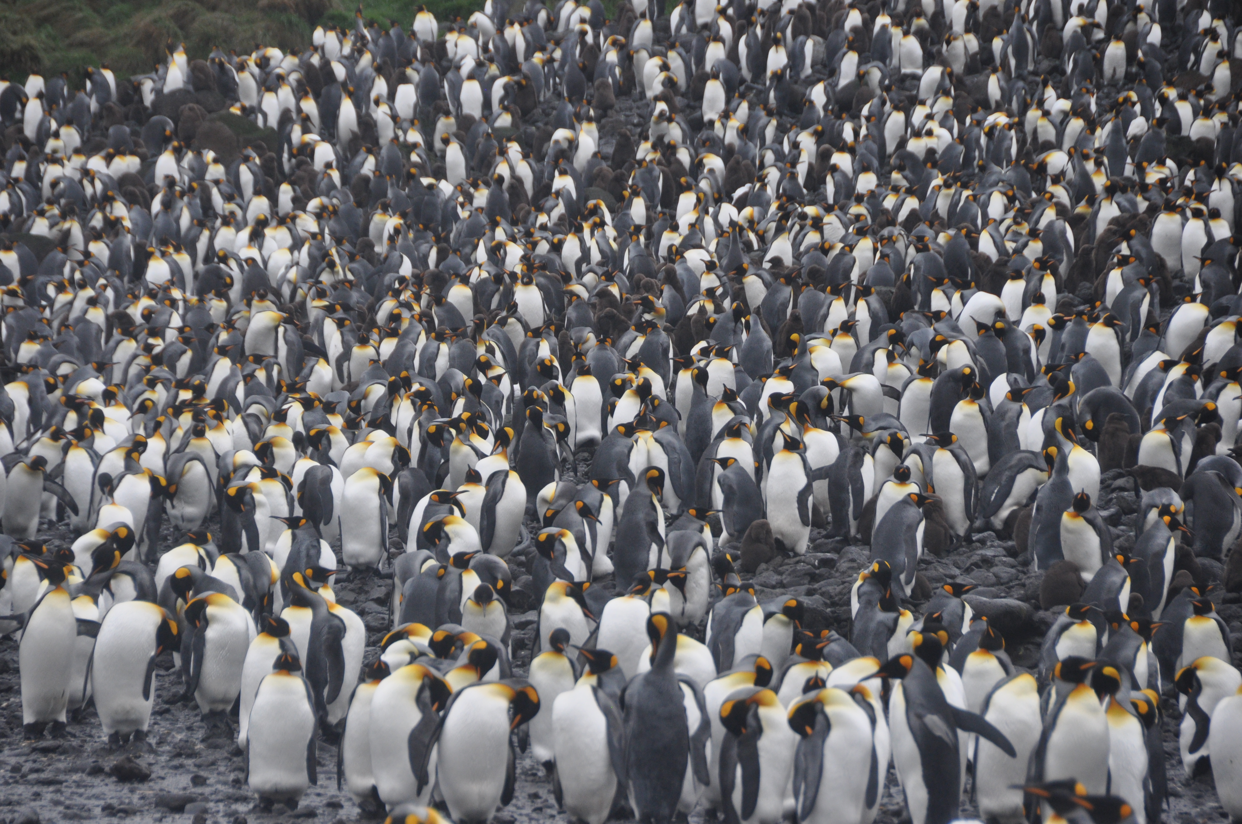 bizas-travel-1.jpg bizas-travel-1.jpg