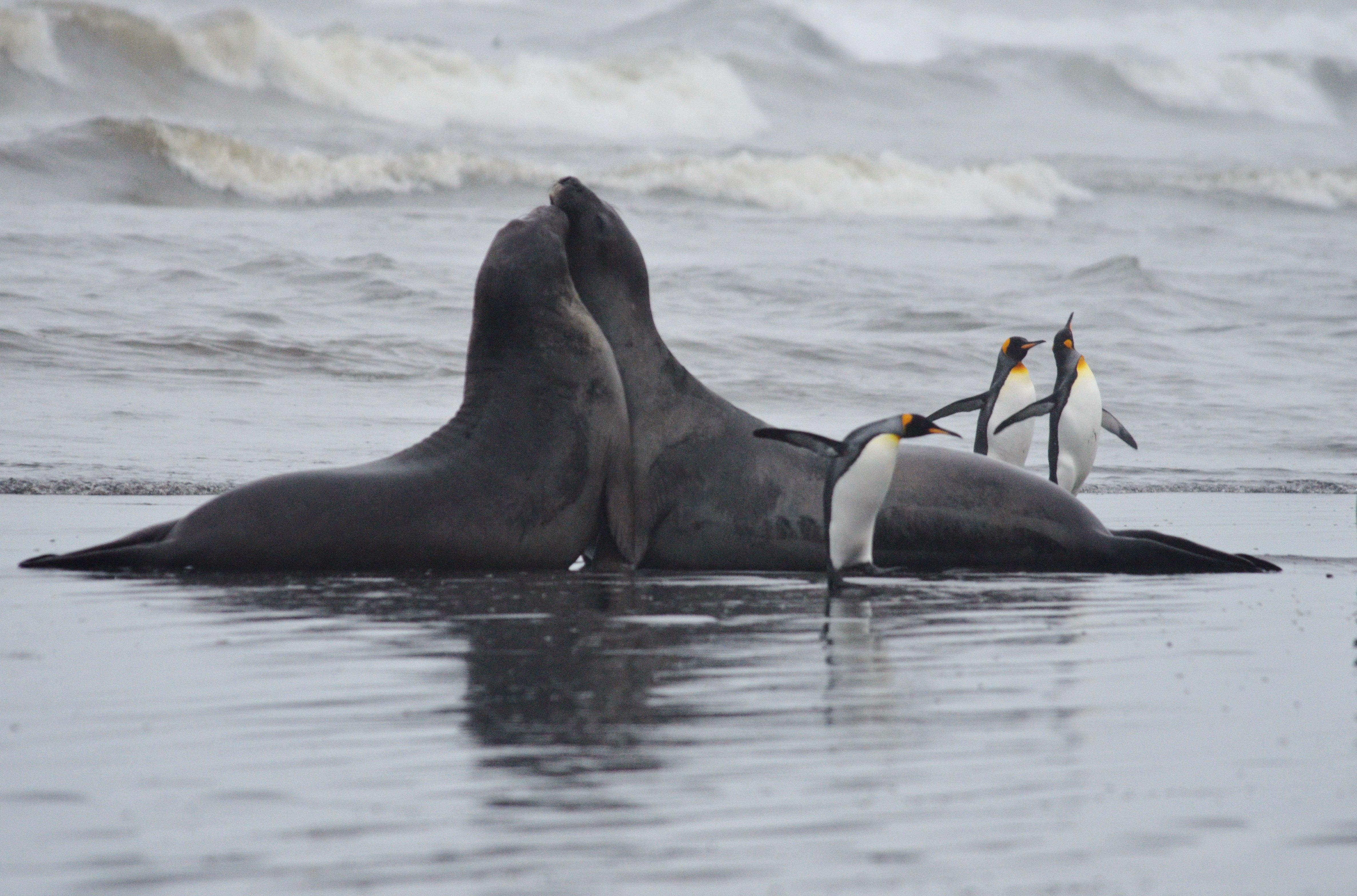 bizas-travel2.jpg bizas-travel2.jpg