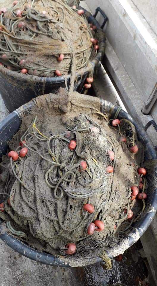 fb_img_1619093818232.jpg fb_img_1619093818232.jpg