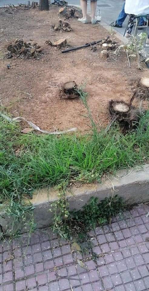 212693946_3026095524337449_2252768100236400573_n_1.jpg 212693946_3026095524337449_2252768100236400573_n_1.jpg