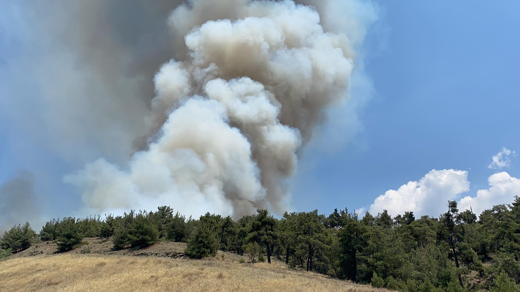 Φωτιά στπ Σέιχ Σου