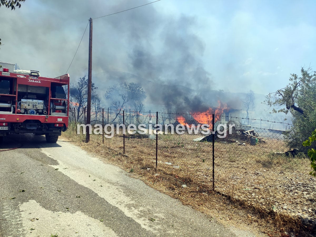 fotia-fytoko-3.jpg fotia-fytoko-3.jpg