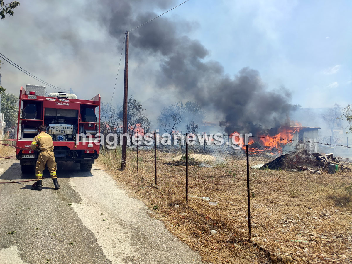 fotia-fytoko.jpg fotia-fytoko.jpg