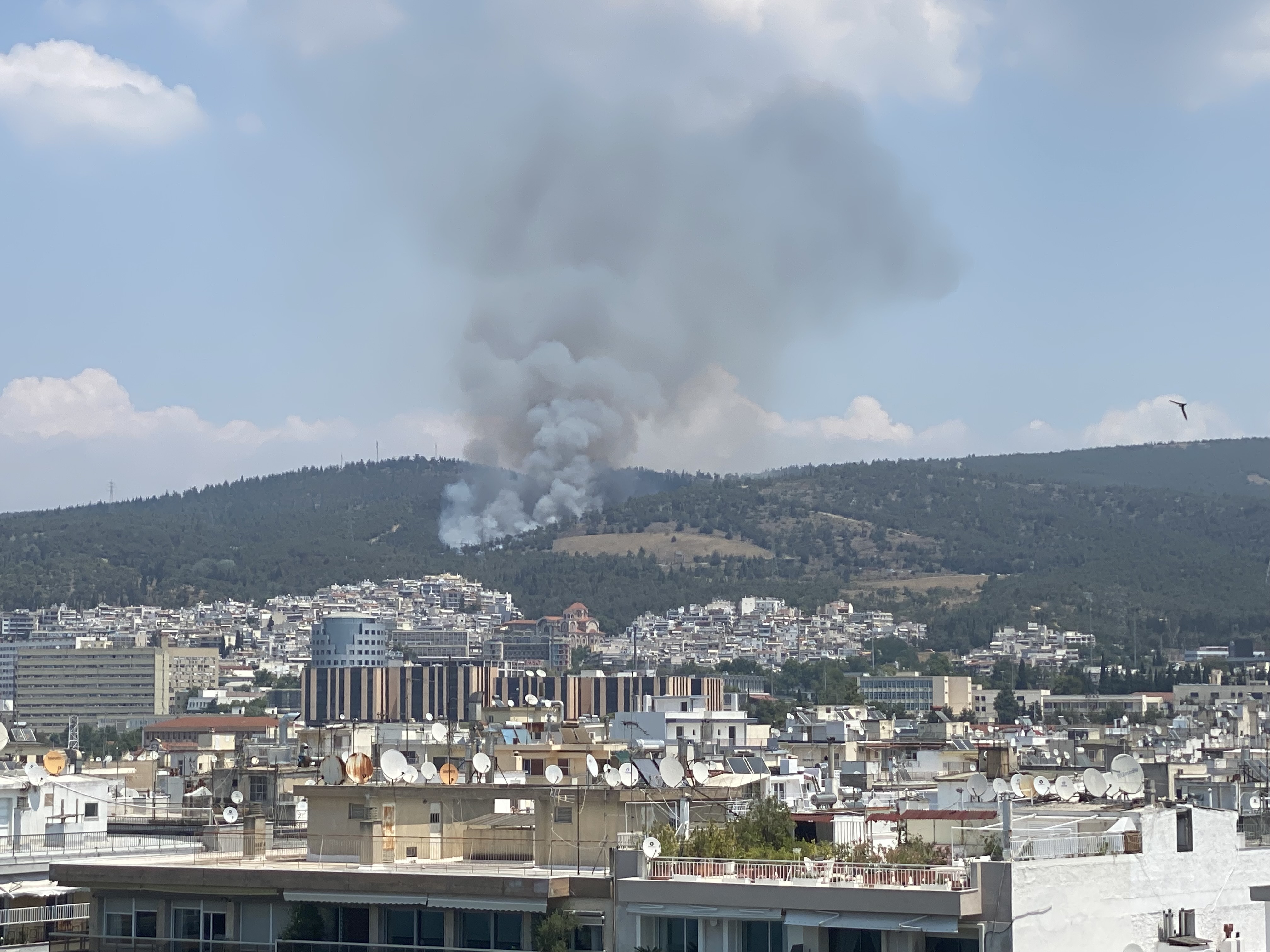 φωτιά στο Σέιχ Σου