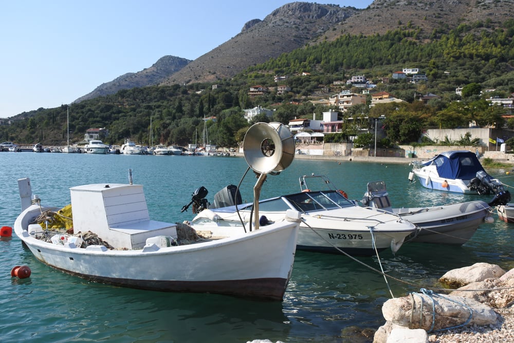 plataria_1.jpg plataria_1.jpg