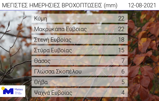 1208_daily_rain.jpg 1208_daily_rain.jpg