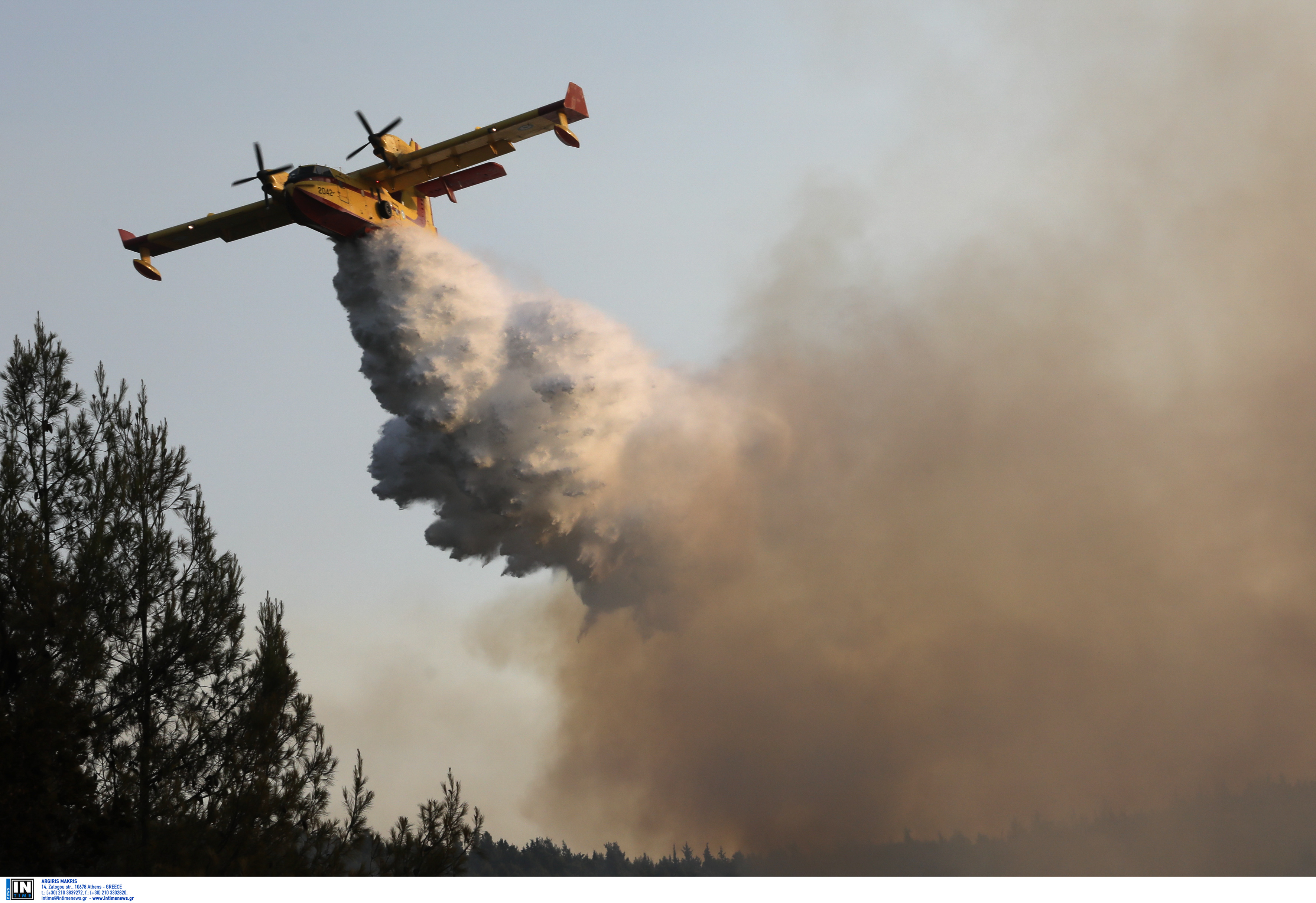 3231715.jpg 3231715.jpg