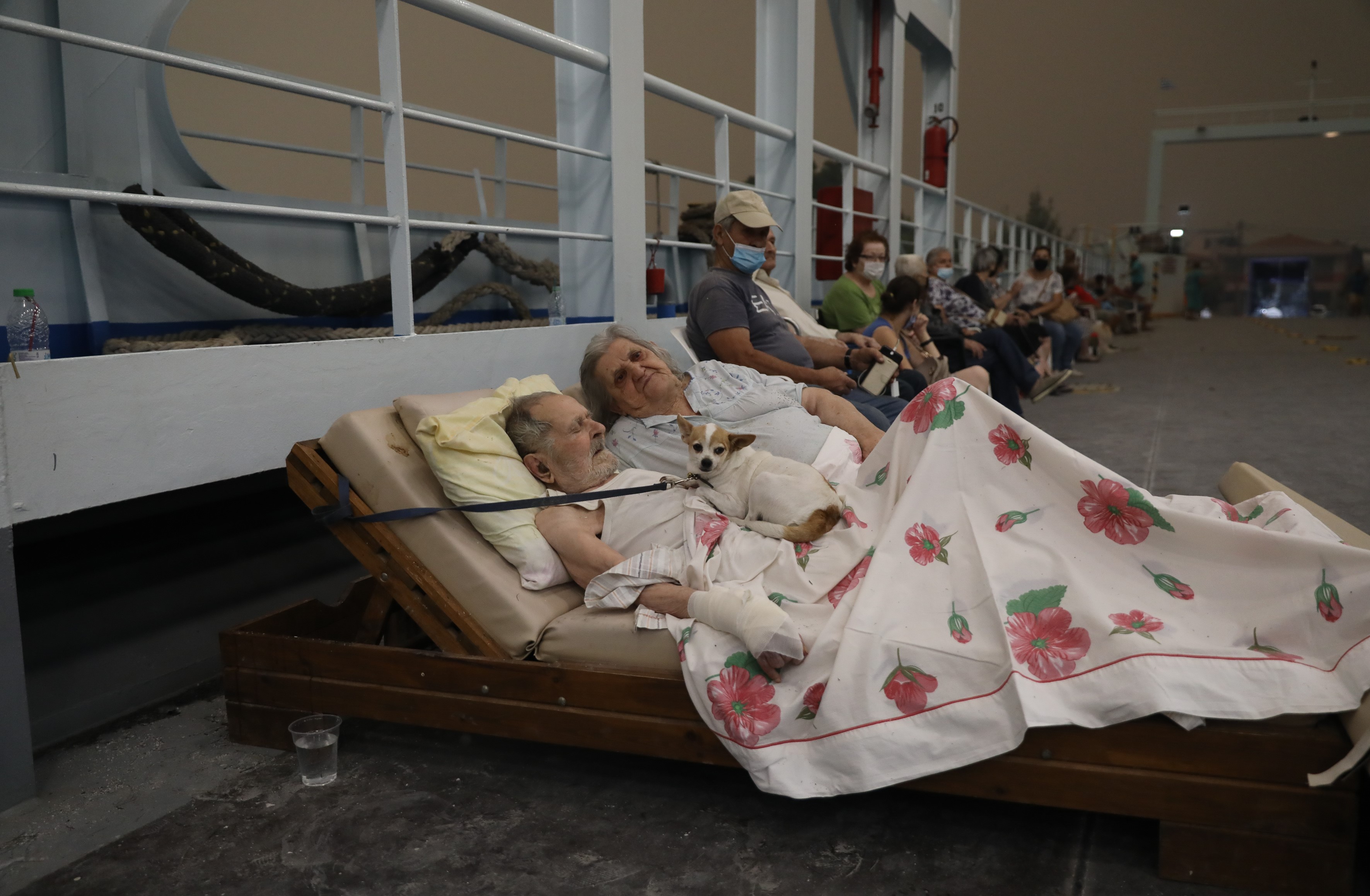 3234131.jpg 3234131.jpg