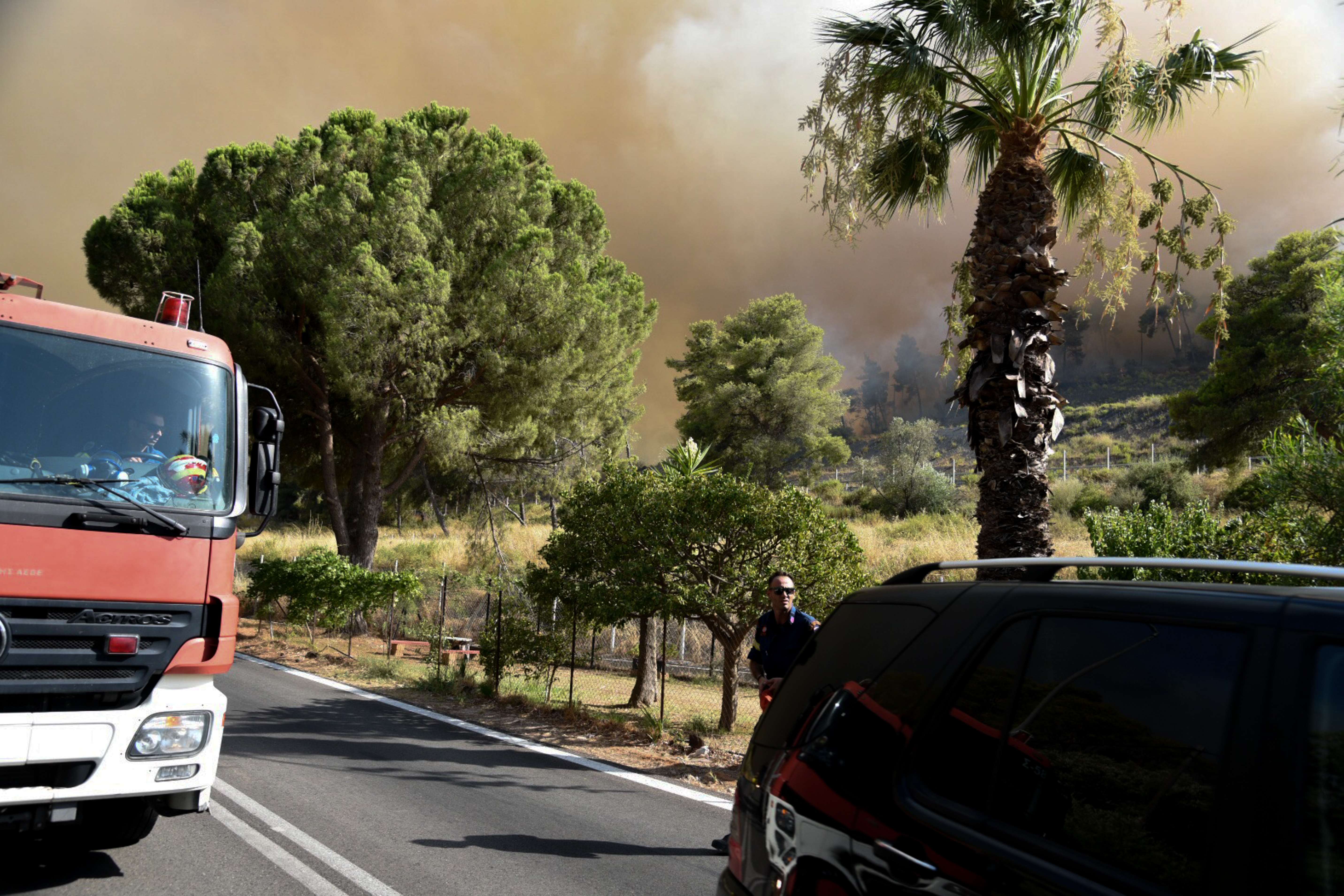 5351163.jpg 5351163.jpg