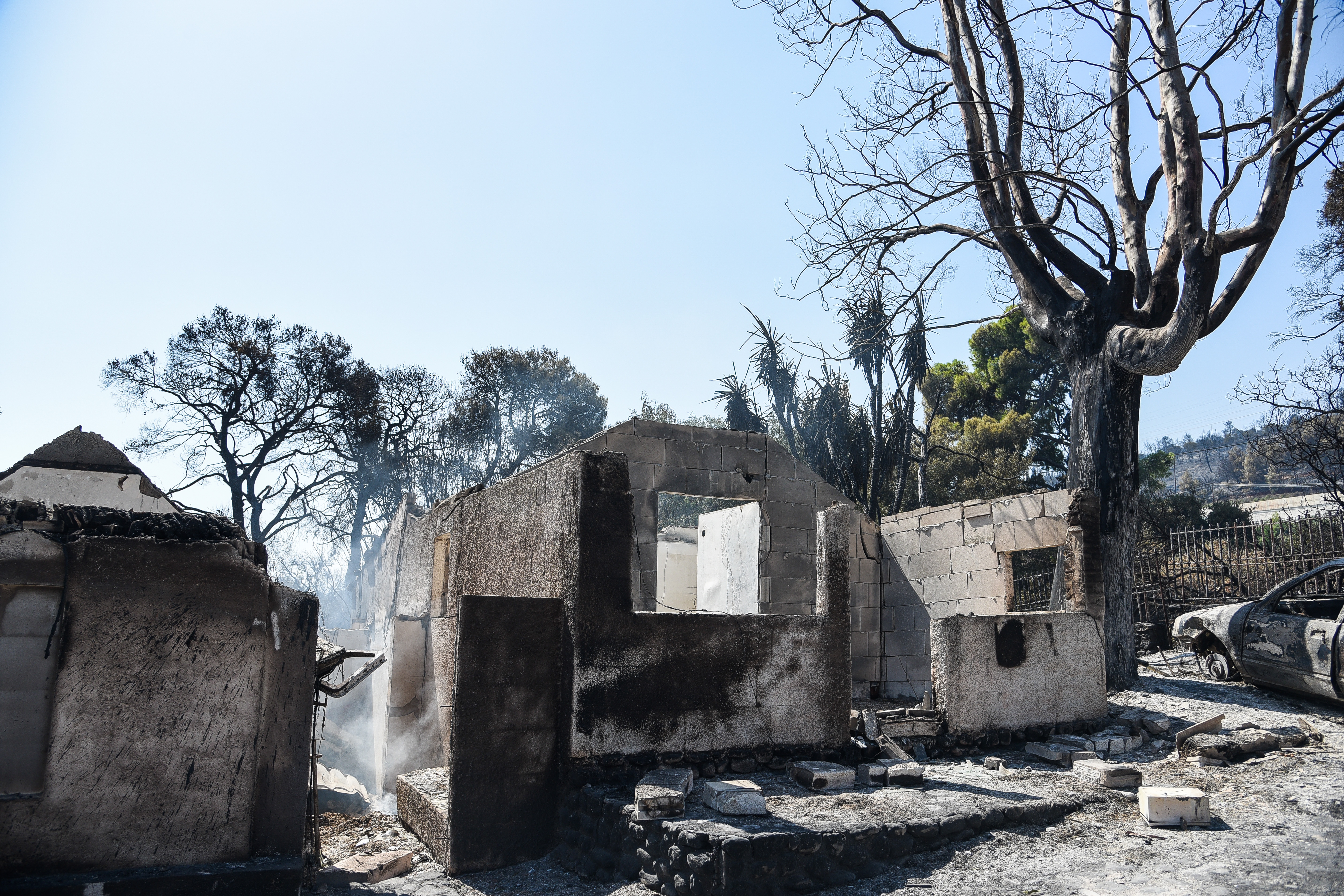 5351435.jpg 5351435.jpg