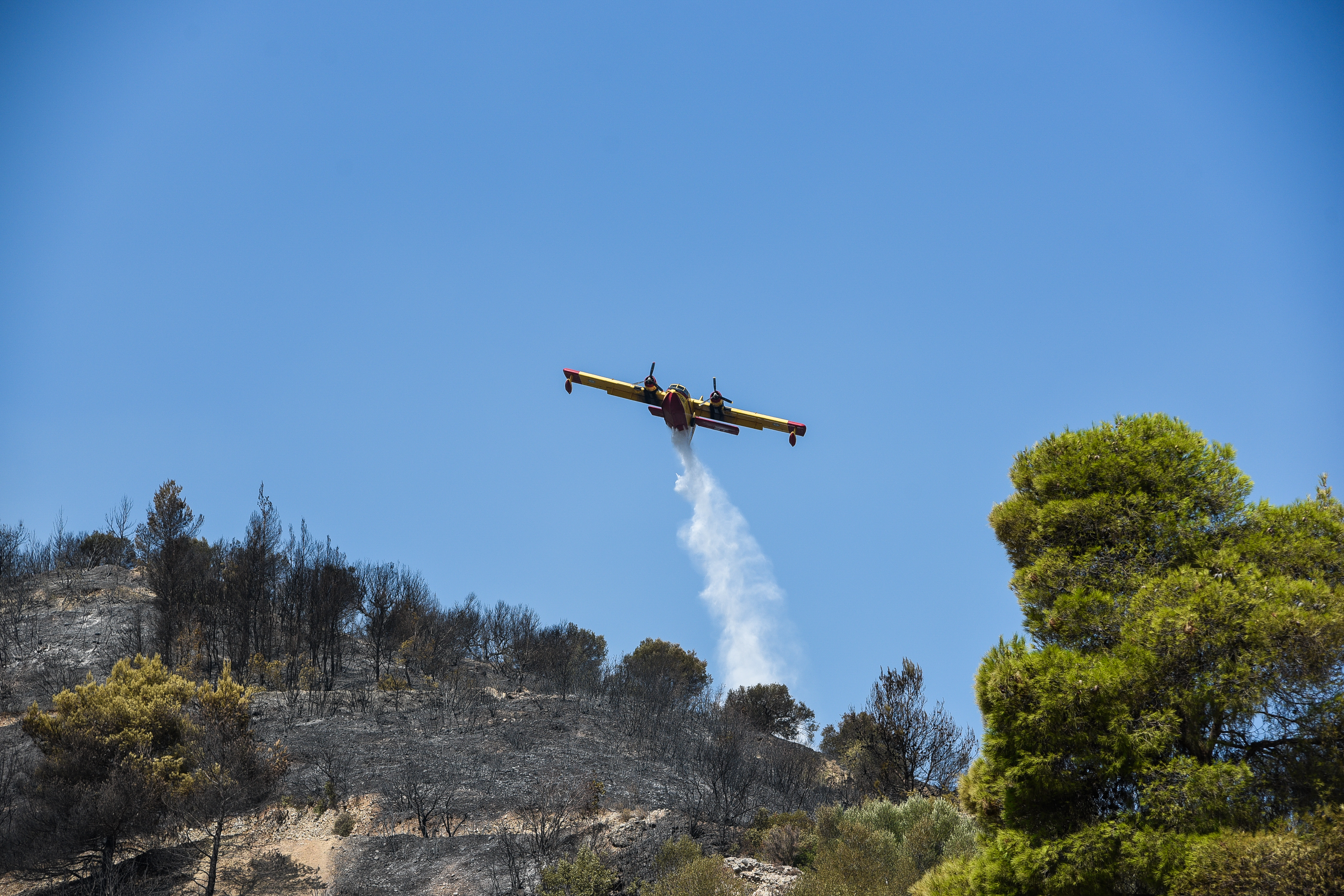 5351438.jpg 5351438.jpg