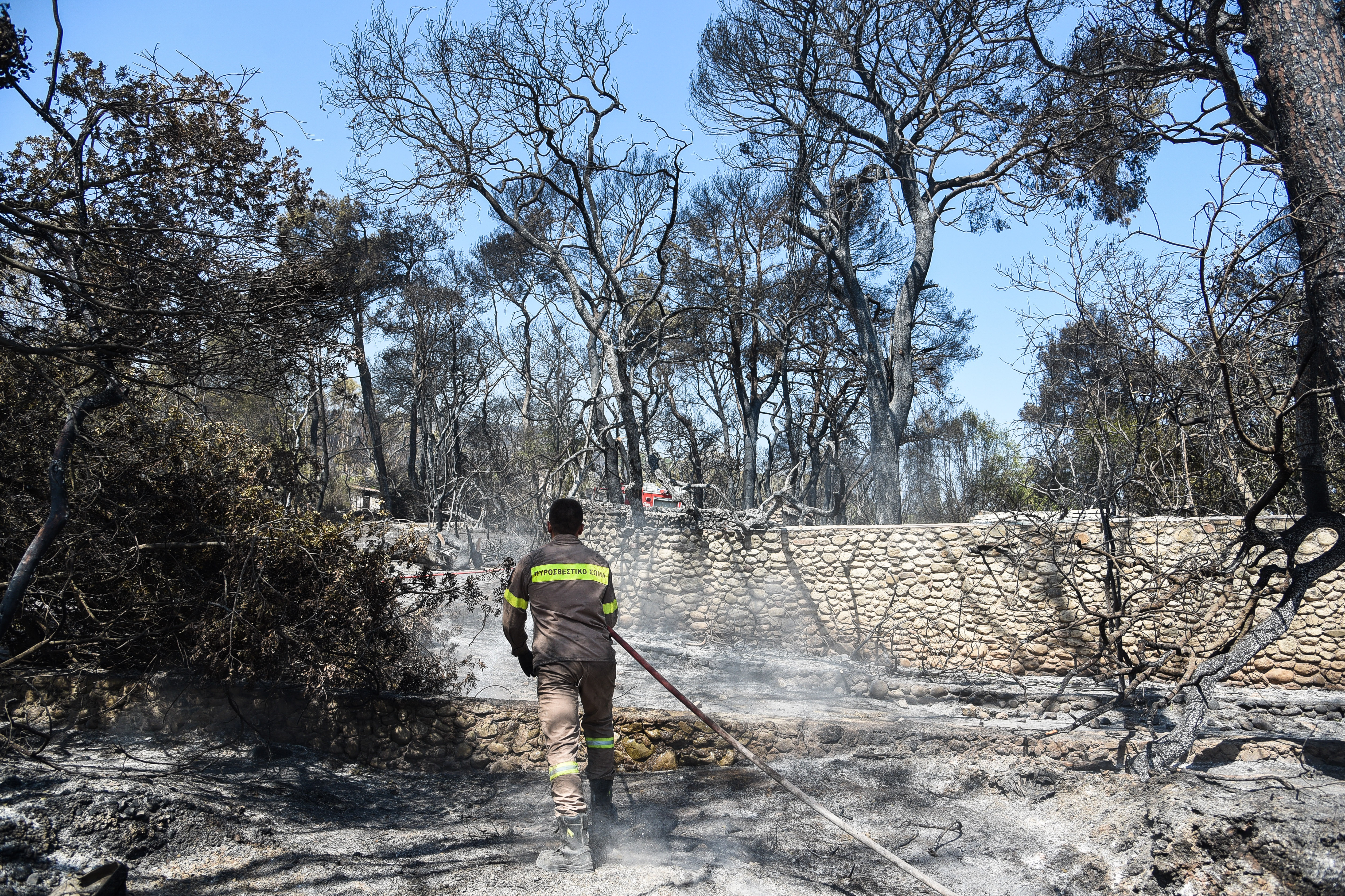 5351441.jpg 5351441.jpg