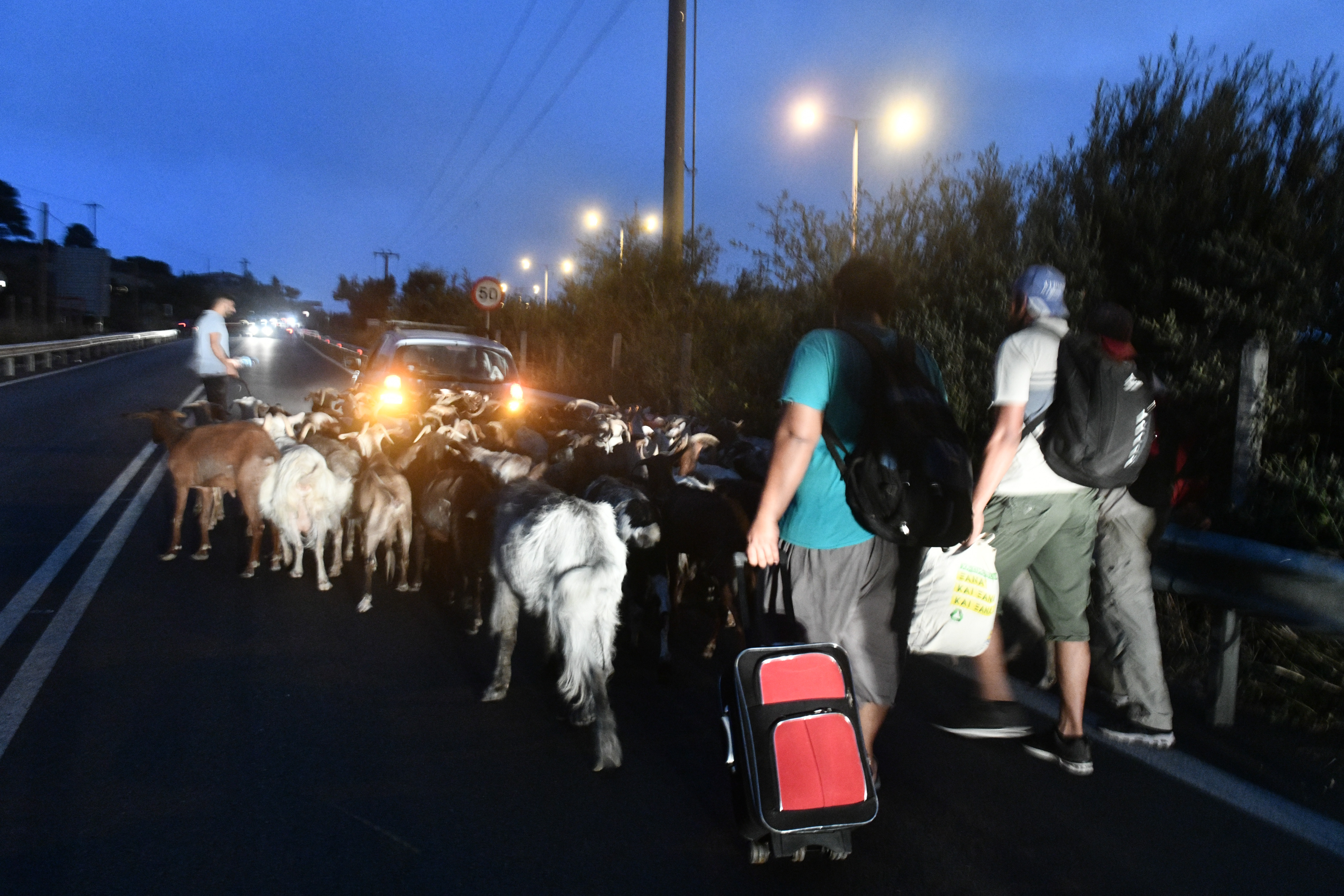 5354445.jpg 5354445.jpg