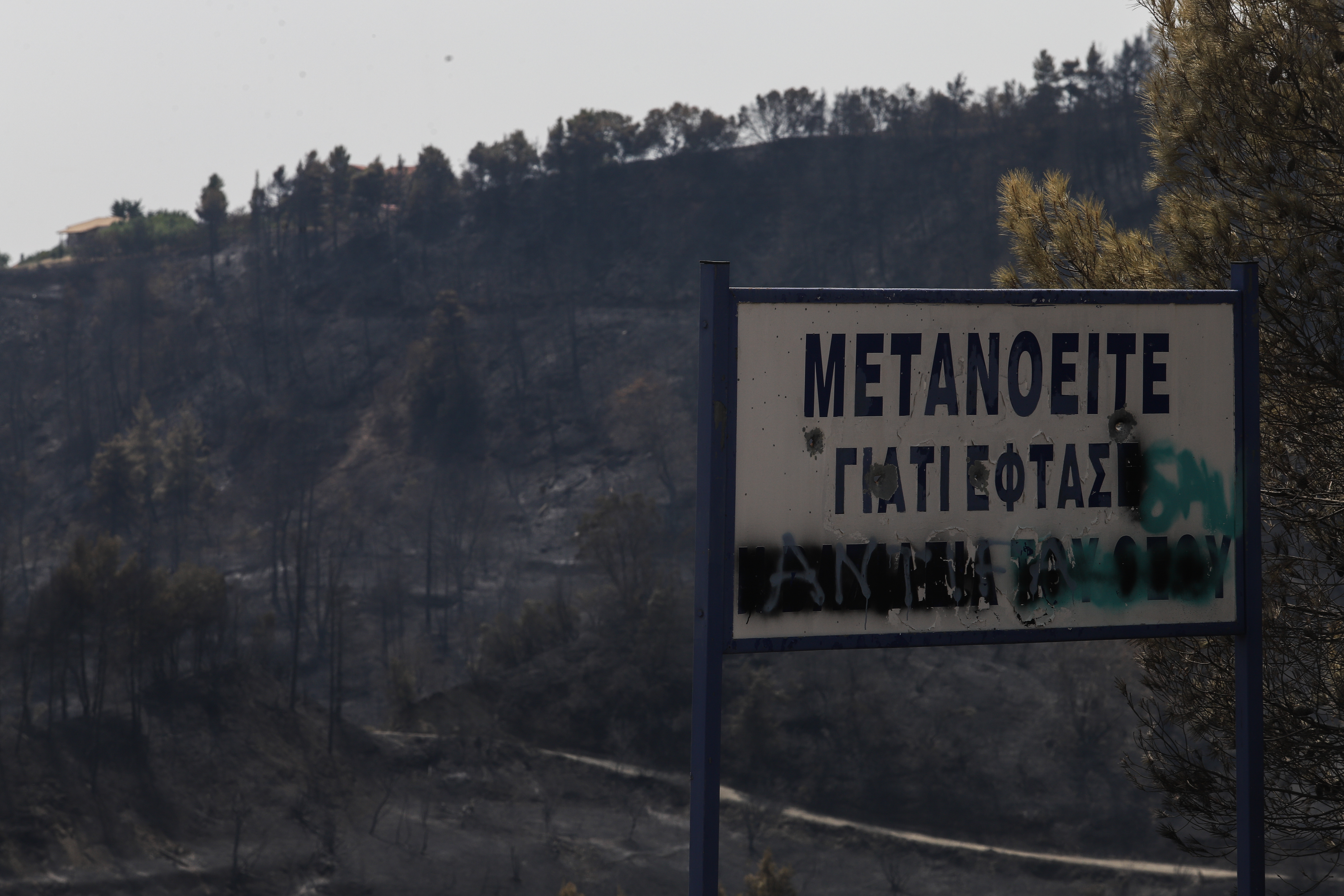 Φωτιά Εύβοια