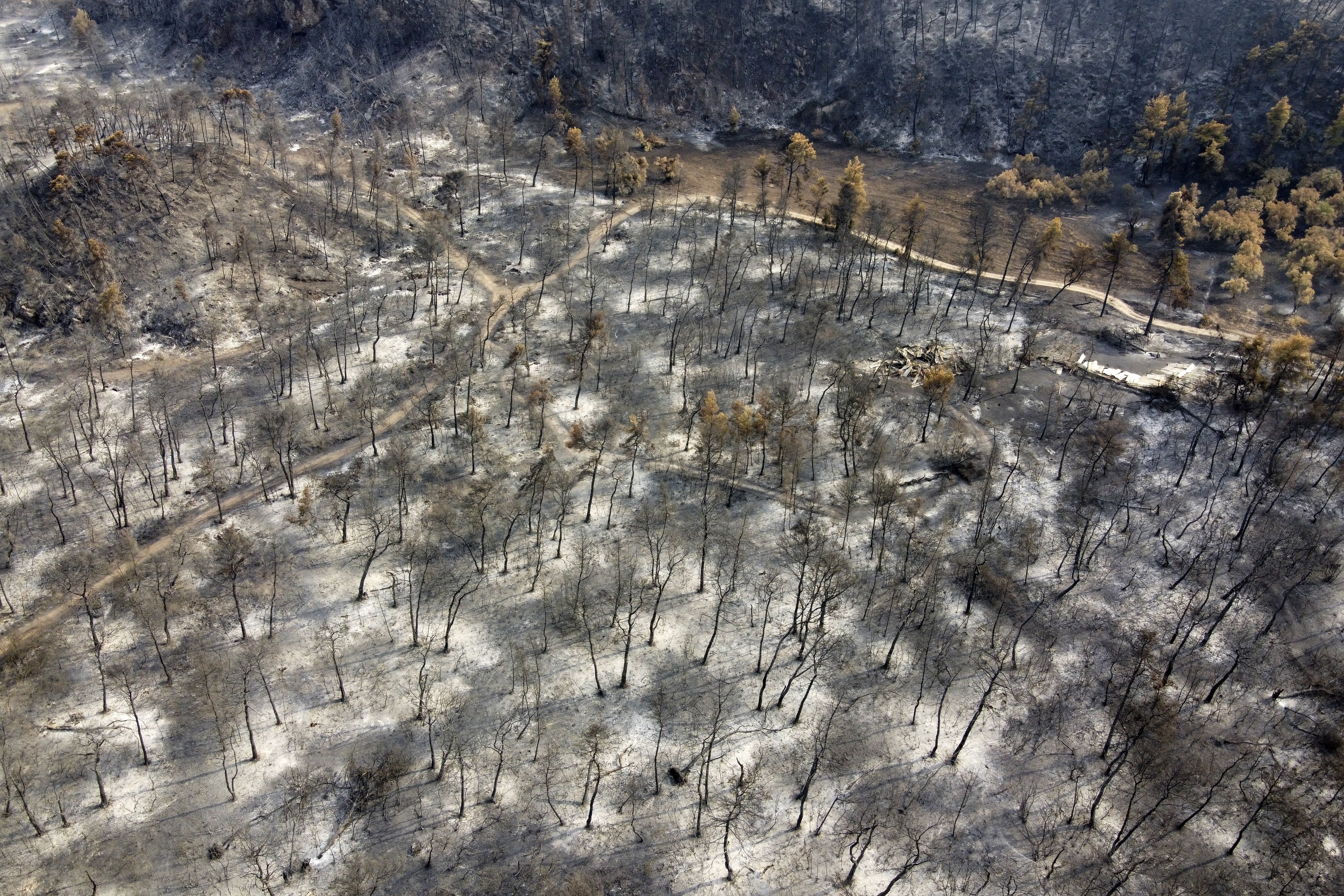 ap21223583018024.jpg ap21223583018024.jpg