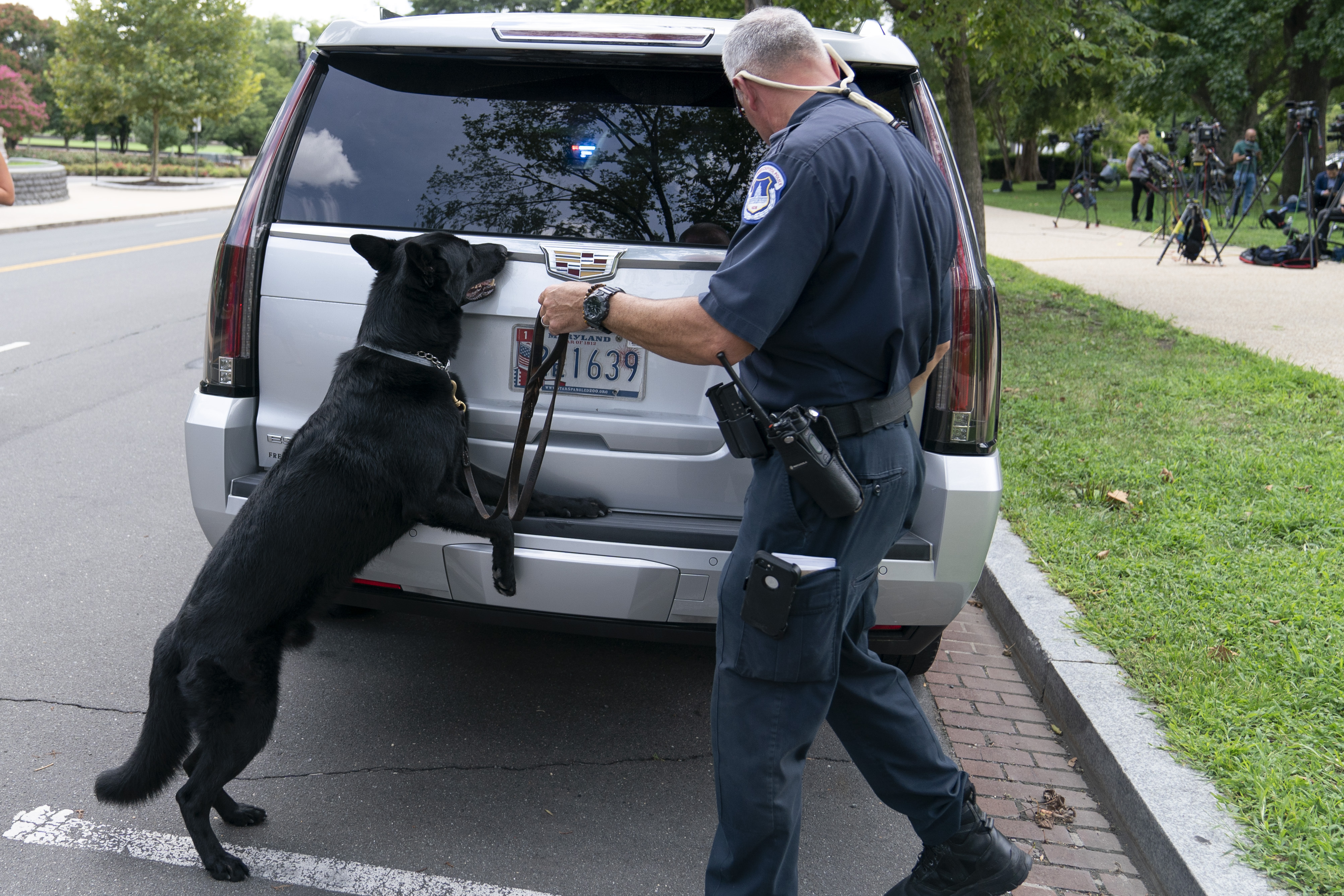 ap21231654502179.jpg ap21231654502179.jpg