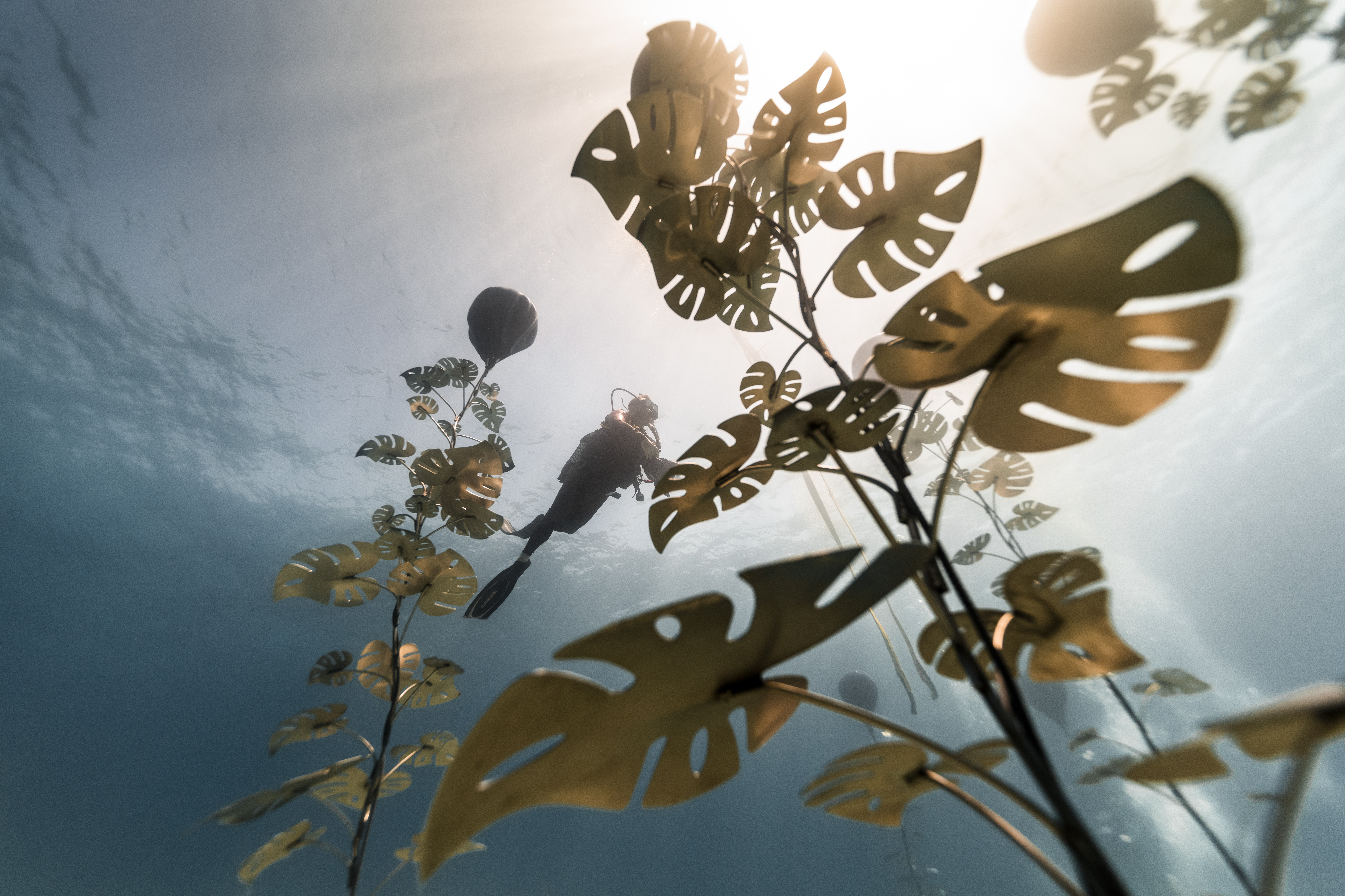 dsc_6692.jpg dsc_6692.jpg