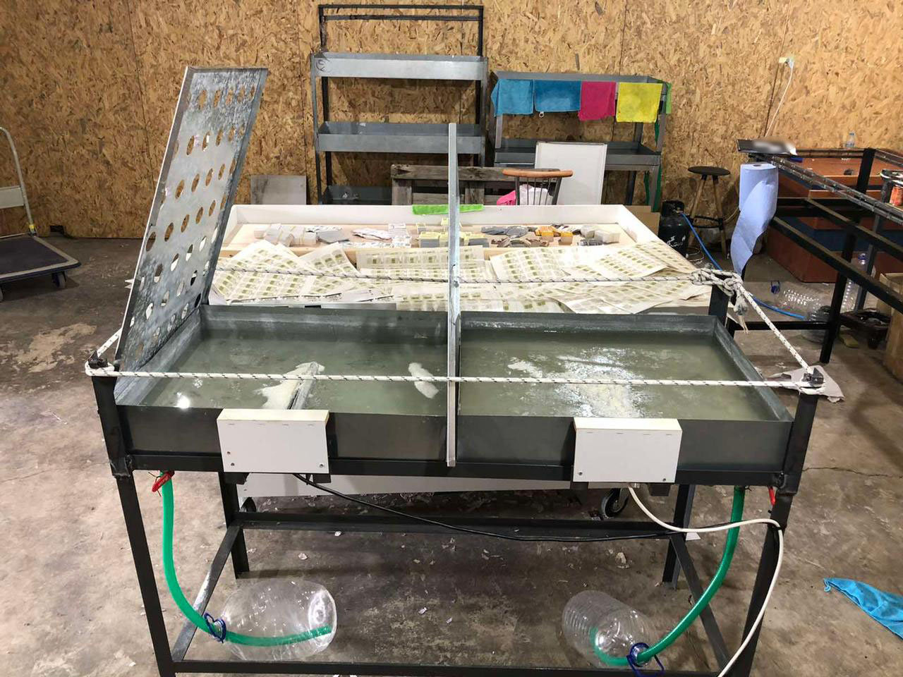 εγκληματική οργάνωση