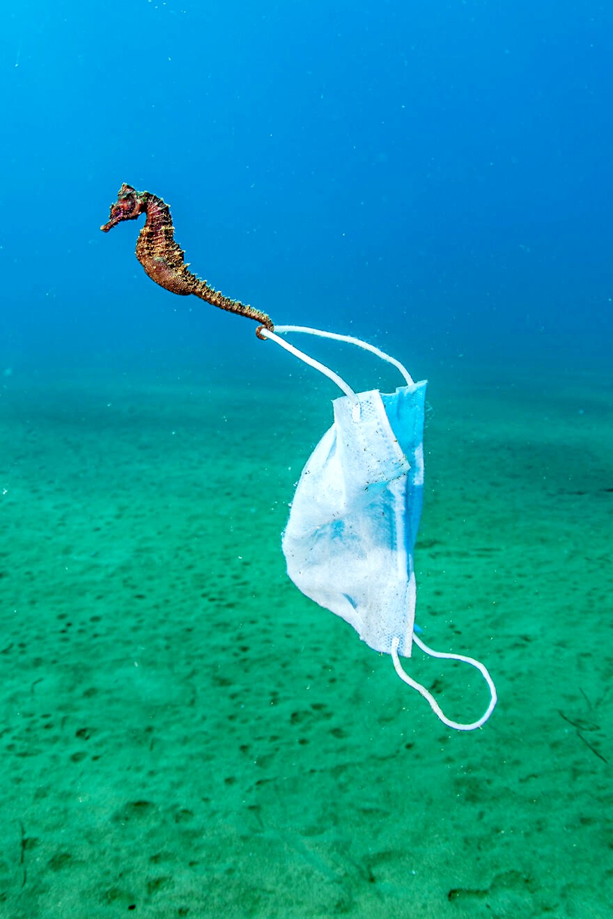 nikola_samara.jpg nikola_samara.jpg