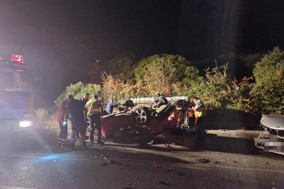 troxaio6-4.jpg troxaio6-4.jpg