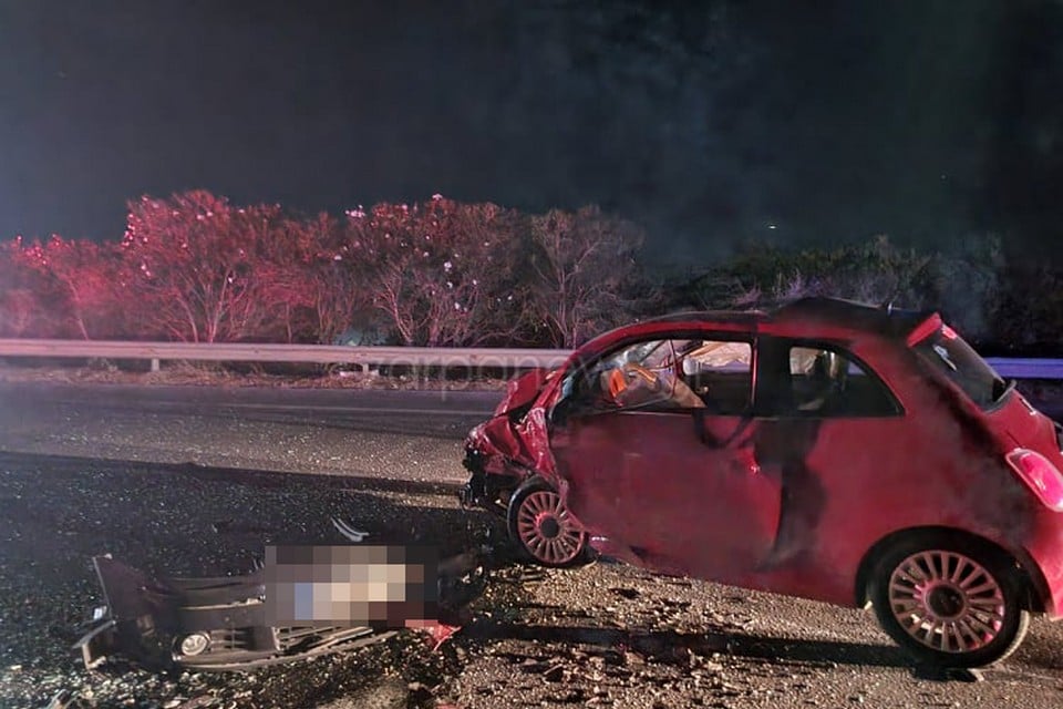 troxaioa2.jpg troxaioa2.jpg