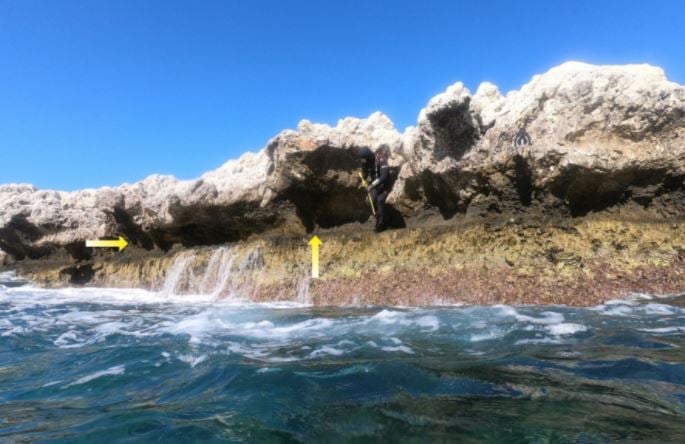 capture.jpg capture.jpg