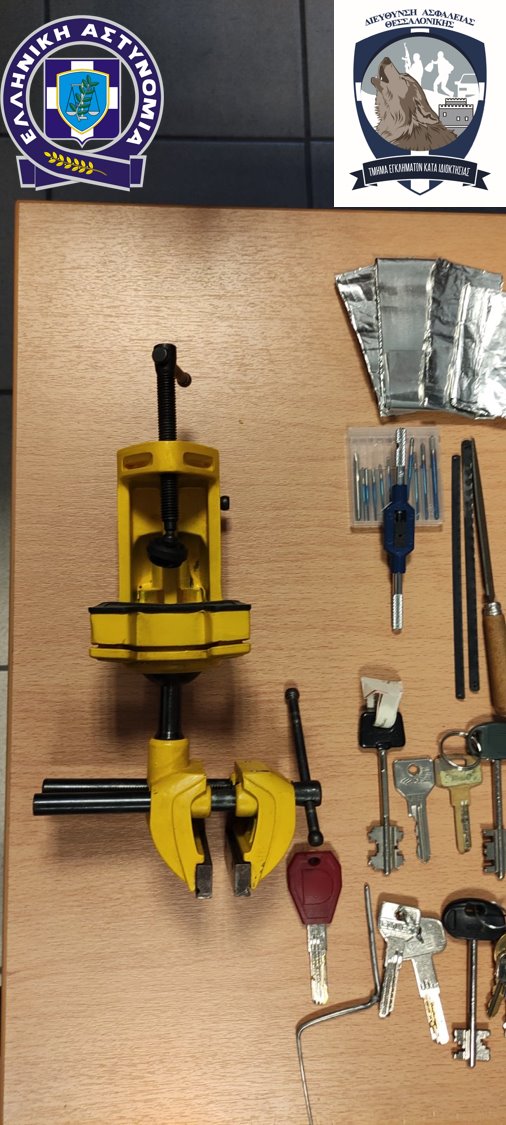 elas_2.jpg elas_2.jpg