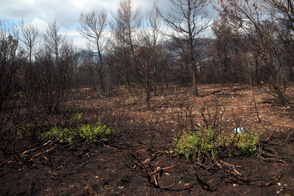 fghdfgh.jpg fghdfgh.jpg