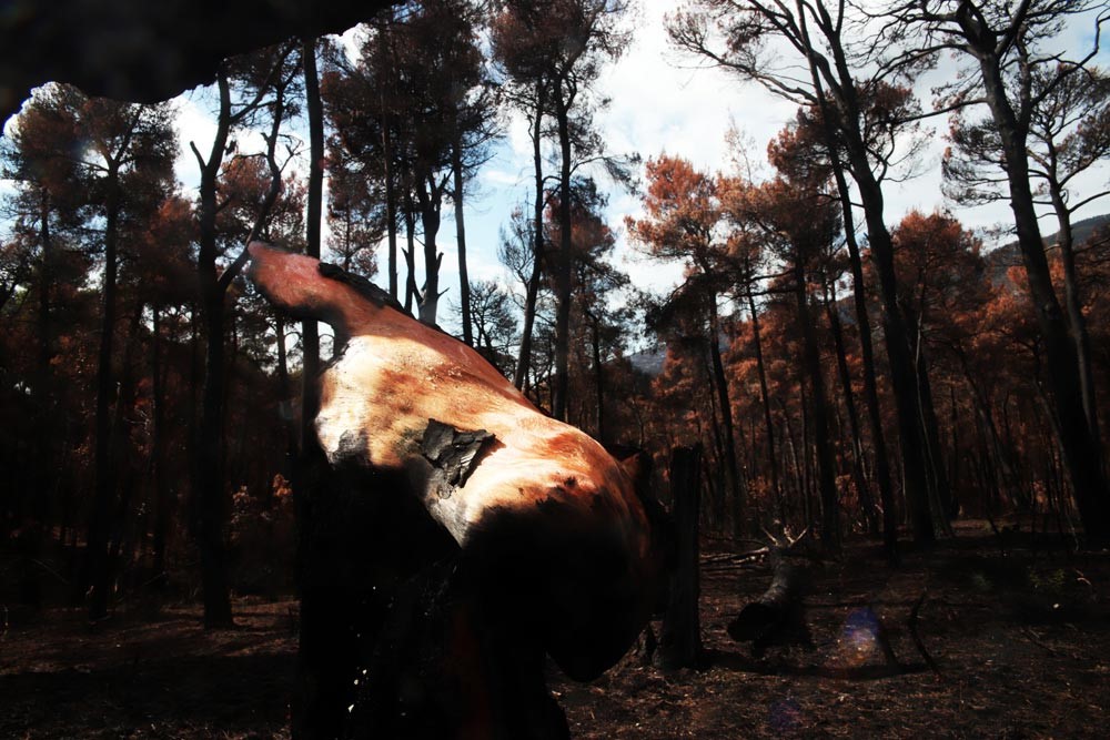 fghetyt.jpg fghetyt.jpg