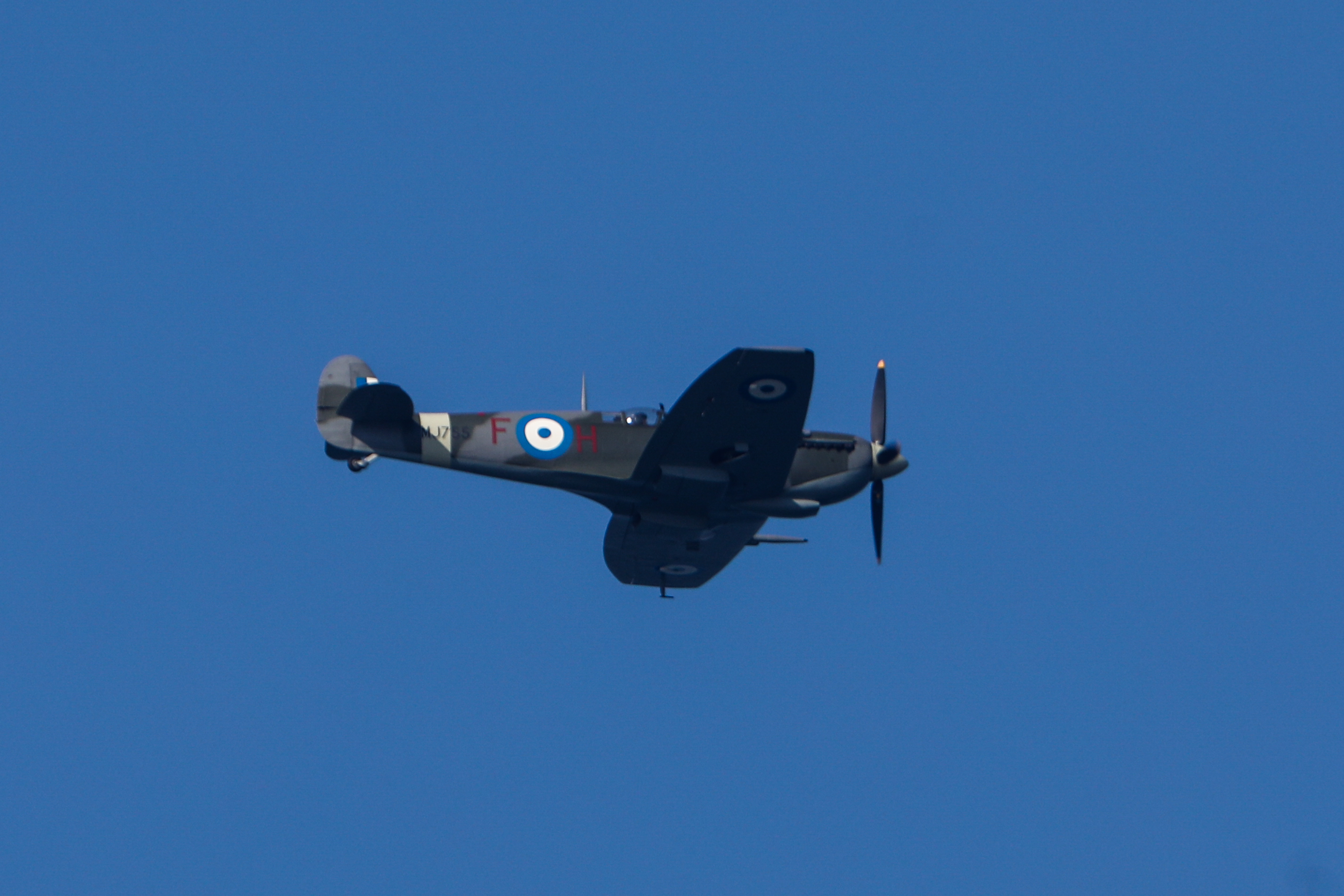 parelasi1.jpg parelasi1.jpg