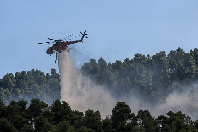 4872818.jpg Φωτιά στην Εύβοια (eurokinissi)