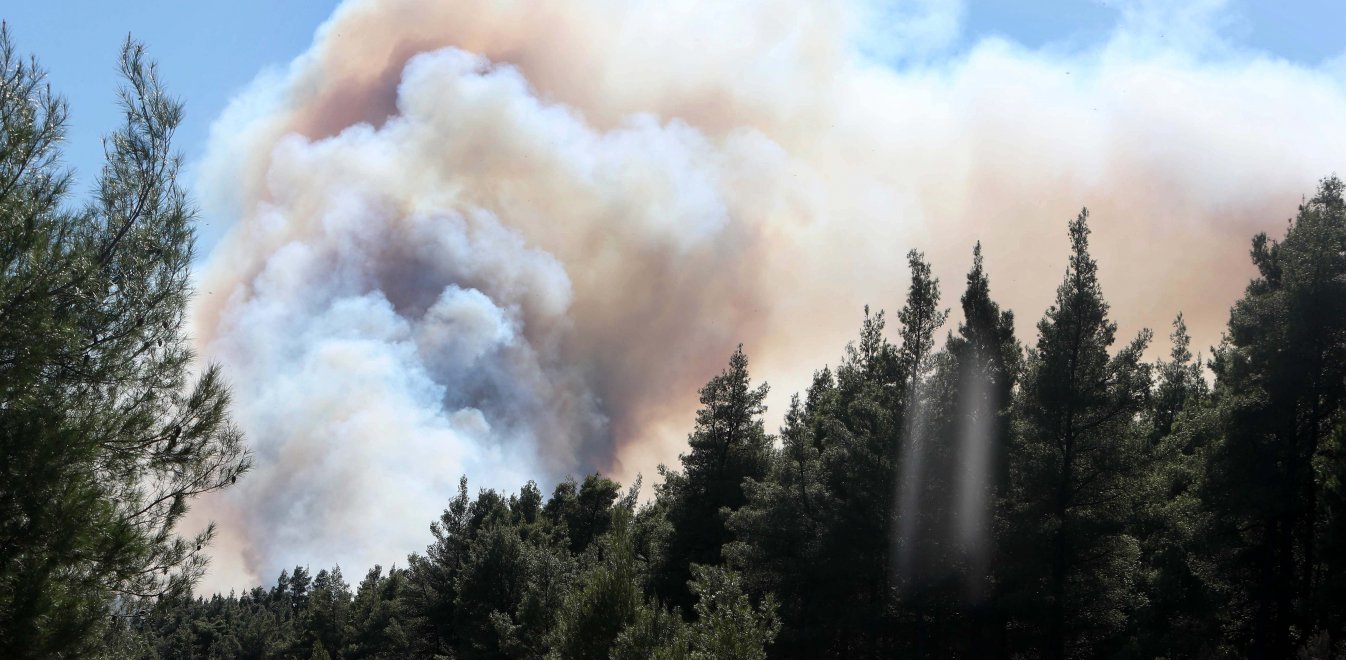 Χαλκιδική και Πιερία πολύ επικίνδυνες για δασικές πυρκαγιές