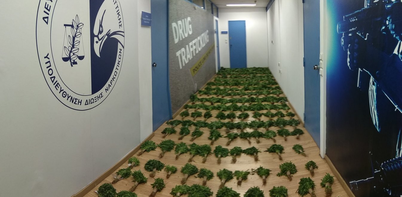 Καρτέλ ναρκωτικών στη Βοιωτία: Στρατός φρουρούσε τη φυτεία χασίς (pics+vid)