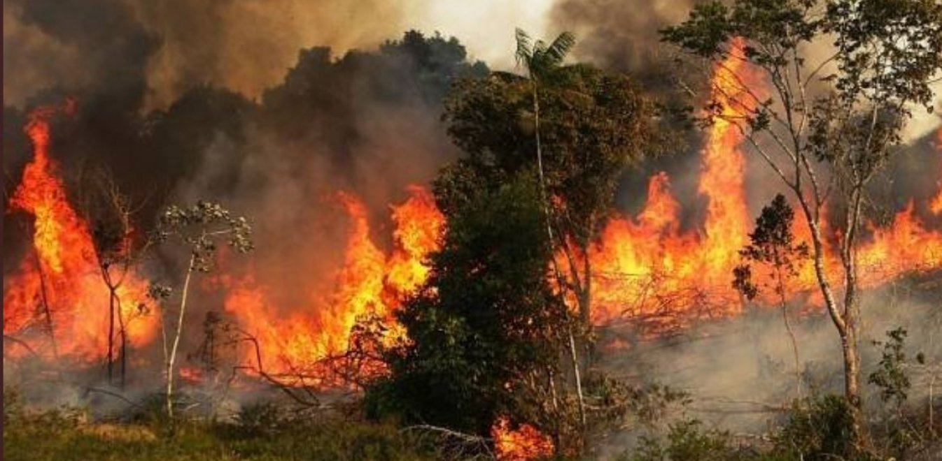 Αμαζόνιος: Οι φωτιές εξαφάνισαν φυλή αυτόχθονων που ανακαλύφθηκε πρόσφατα