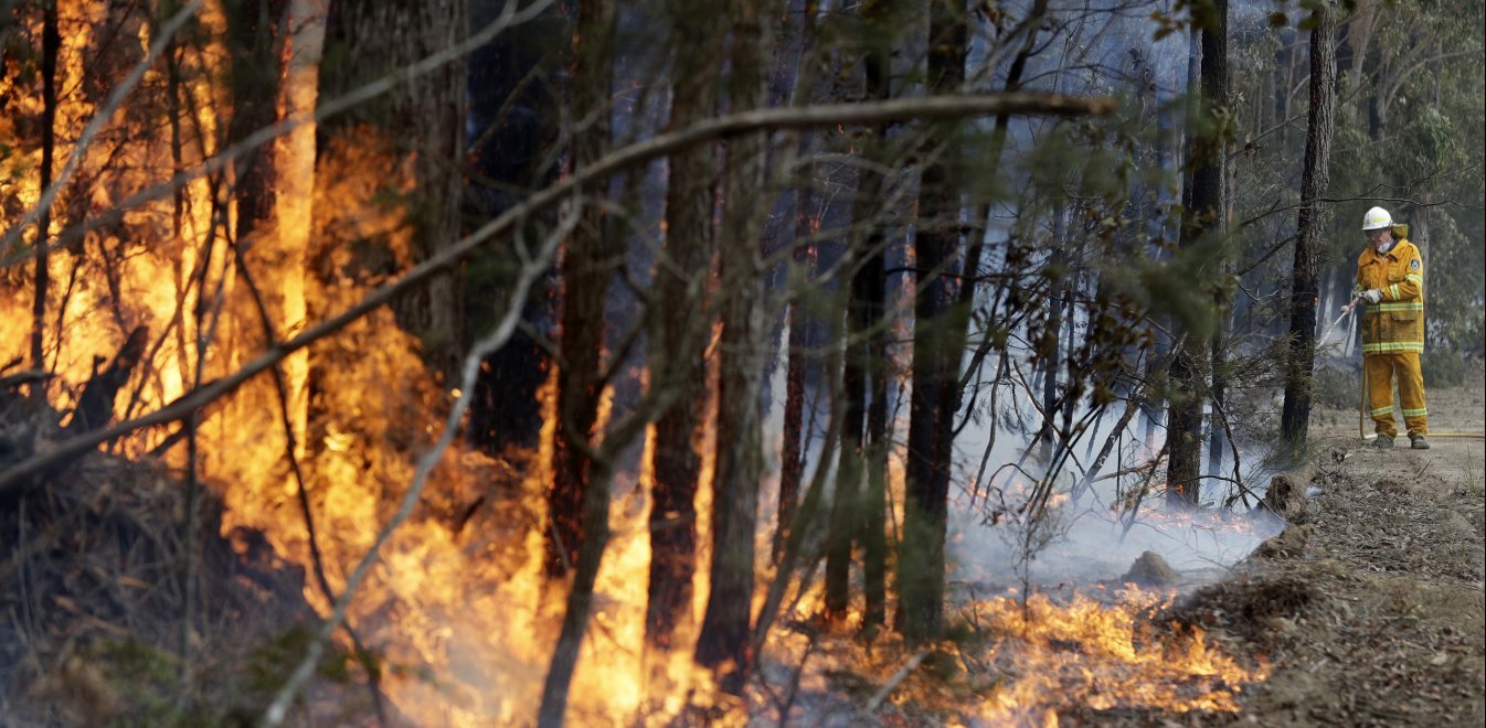 Φωτιές στην Αυστραλία: Ολοκαύτωμα για την πανίδα, προειδοποιούν ειδικοί