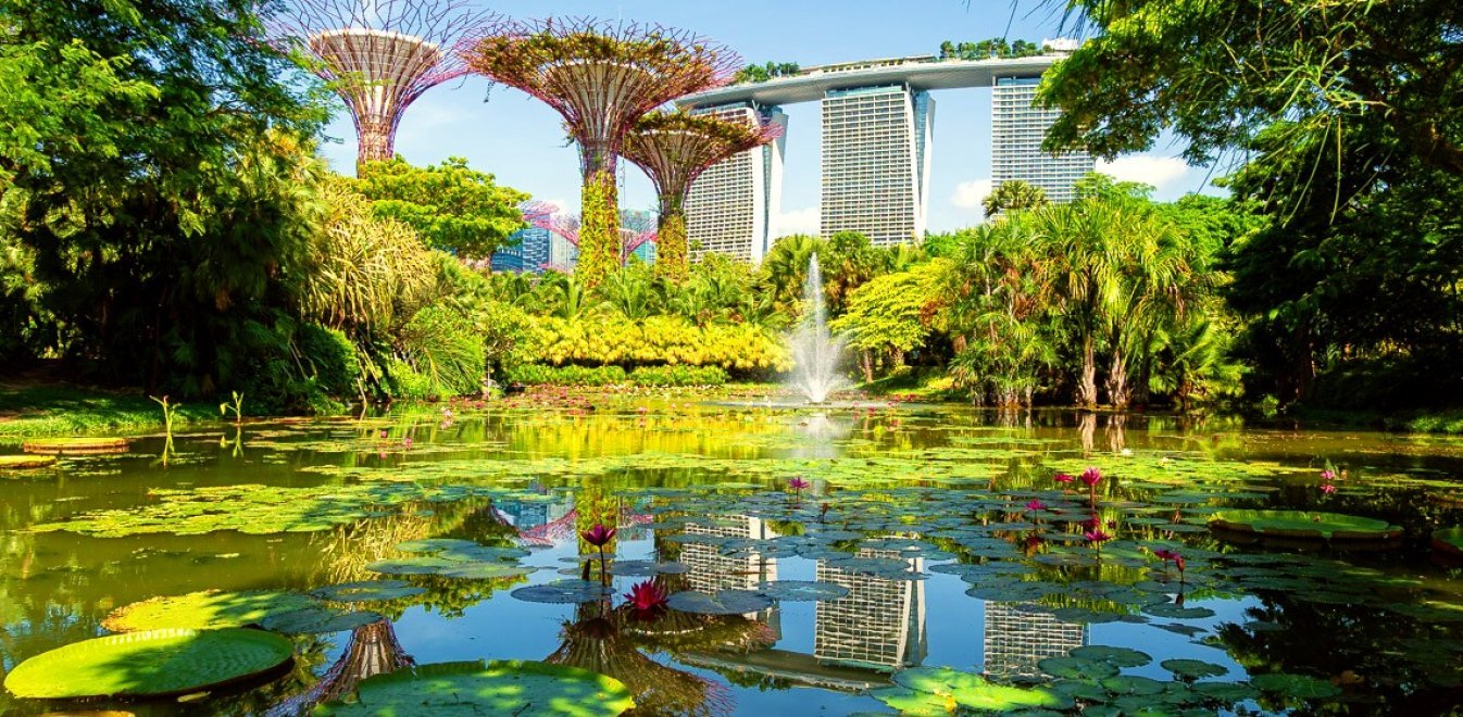 Σιγκαπούρη: Φωτοβολταϊκοί κήποι στην εξωτική «πόλη των λιονταριών» | Έθνος