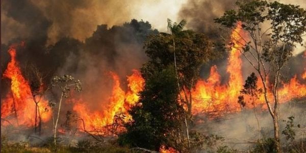 Αμαζόνιος: Οι φωτιές εξαφάνισαν φυλή αυτόχθονων που ανακαλύφθηκε ...