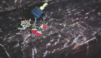 Δίπλωμα οδήγησης στην Ευρώπη