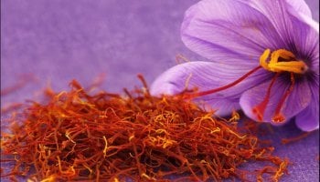 κρόκος Κοζάνης