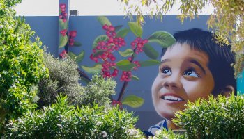 Η τοιχογραφία του Antonis Hambas