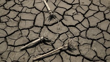 κλιματική αλλαγή