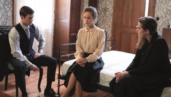 Άγριες μέλισσες 