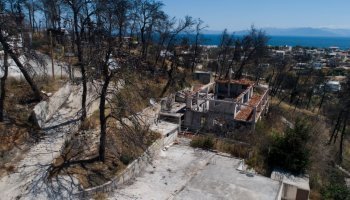 Μάτι, Βαρβάρα Φύτρου 