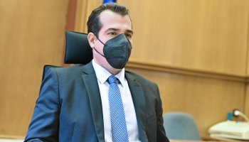 Θάνος Πλεύρης