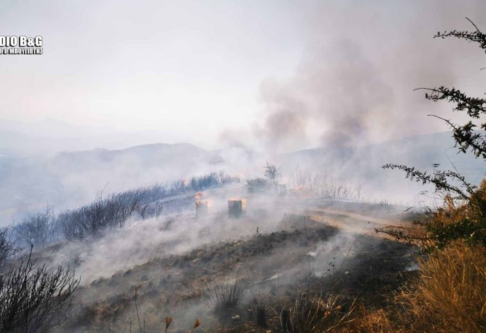 Αργολίδα: Μεγάλη φωτιά στην περιοχή της Μονής Καρακαλά (pics)