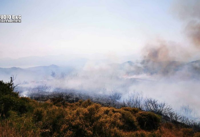Αργολίδα: Μεγάλη φωτιά στην περιοχή της Μονής Καρακαλά (pics)