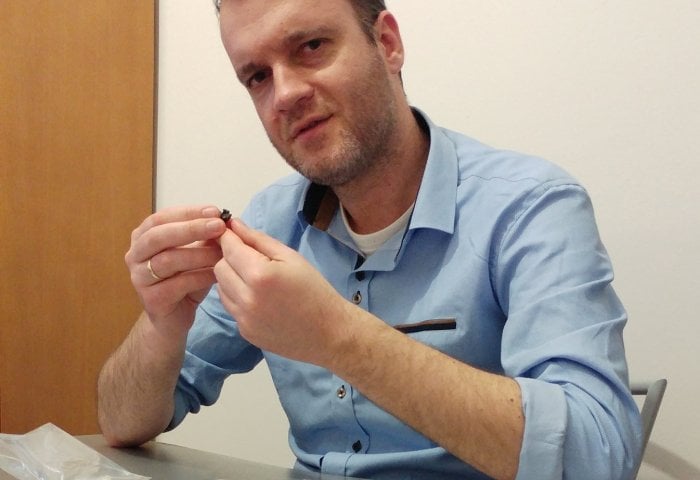 Δύο φίδια 6 εκατομμυρίων ετών εντοπίστηκαν στην Ελλάδα (pics)